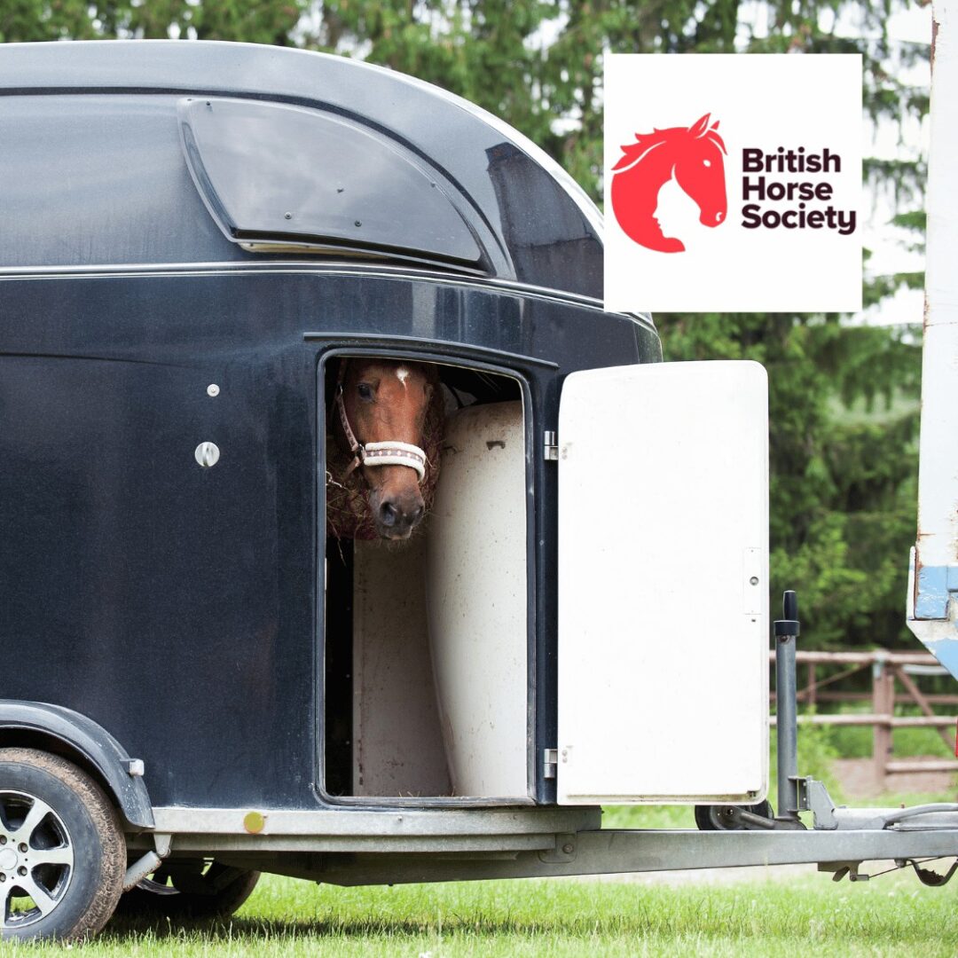 British horse society