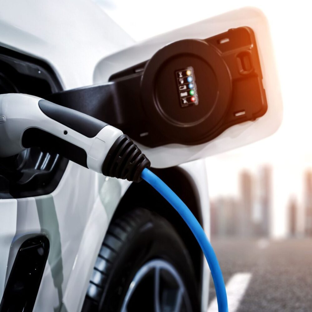 Untitled (1800 x 1800 px) (3)