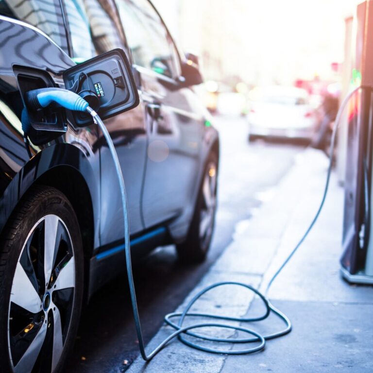 Untitled (1800 x 1800 px) (5)