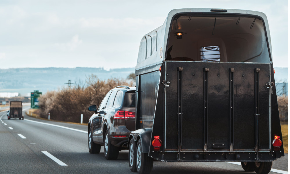 Horse trailer towed by car