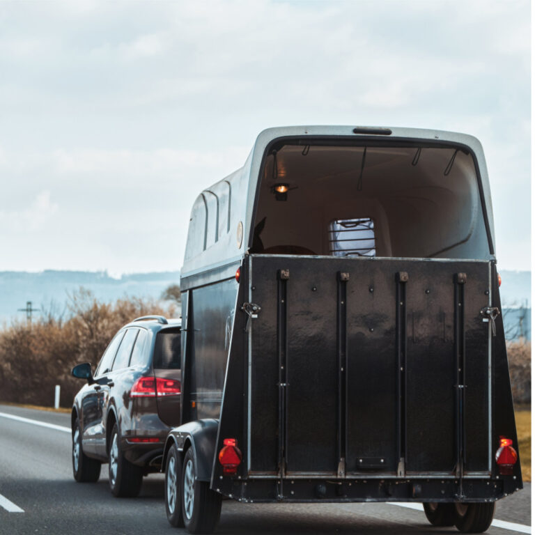 Horse trailer towed by car