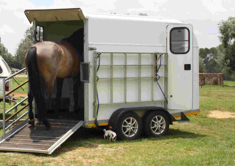 Horses,and,horseboxes,,travel